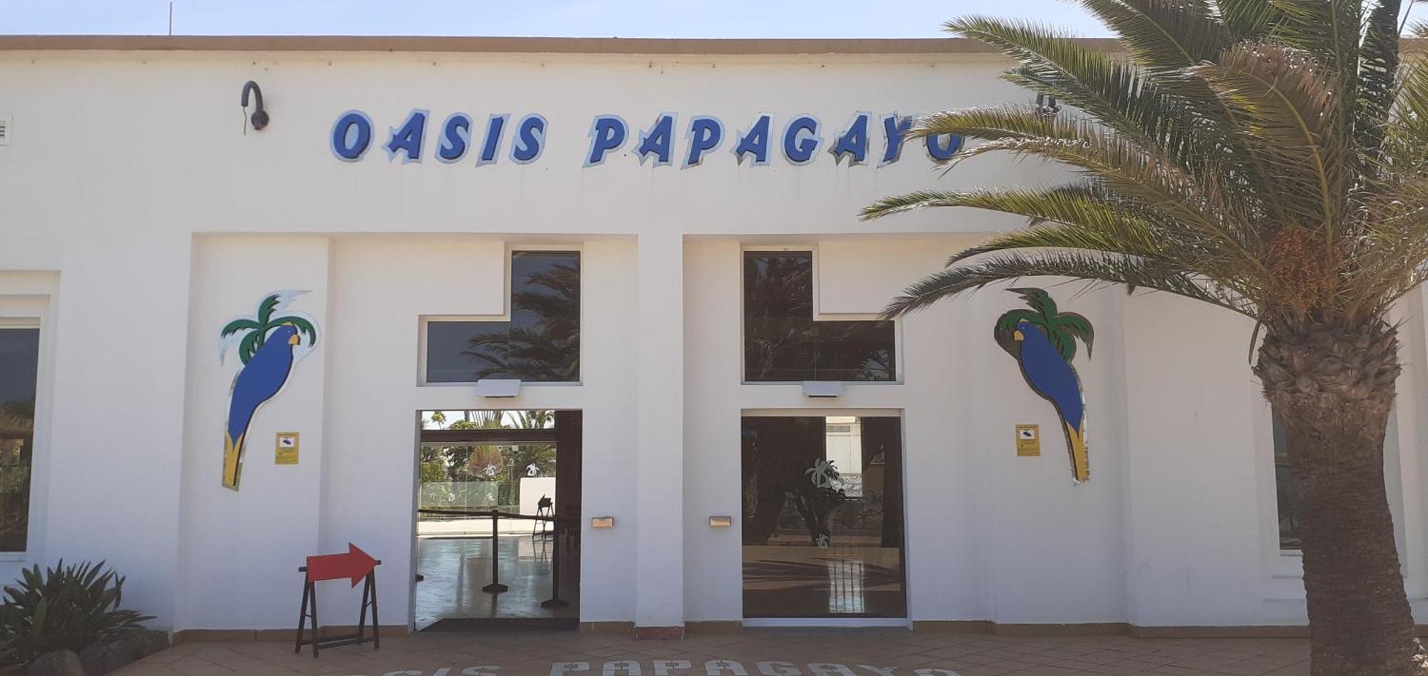 Oasis Waves House Papagayo Apartment Corralejo Luaran gambar